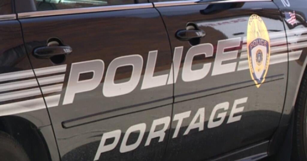 Chicago woman arrested after French bulldog found dead in Portage Walmart parking lot