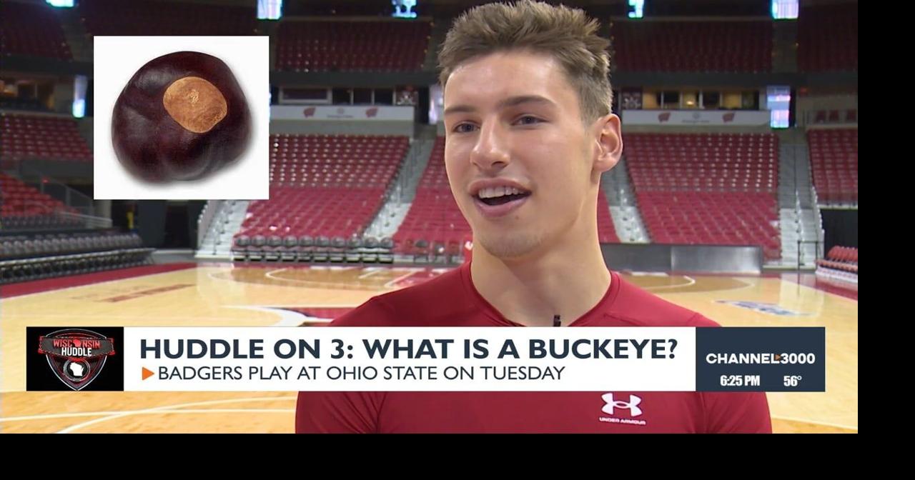 What is a Buckeye??? Badgers answer ahead of trip to Ohio State