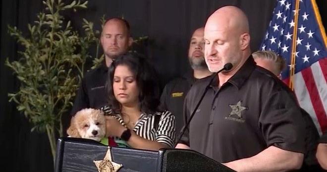 Dog left with fractured tooth and a broken jaw at Florida dog day care