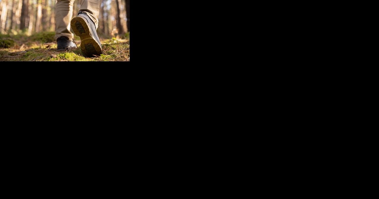 Recent warm up makes January nature walk more bearable - Vimarsana News