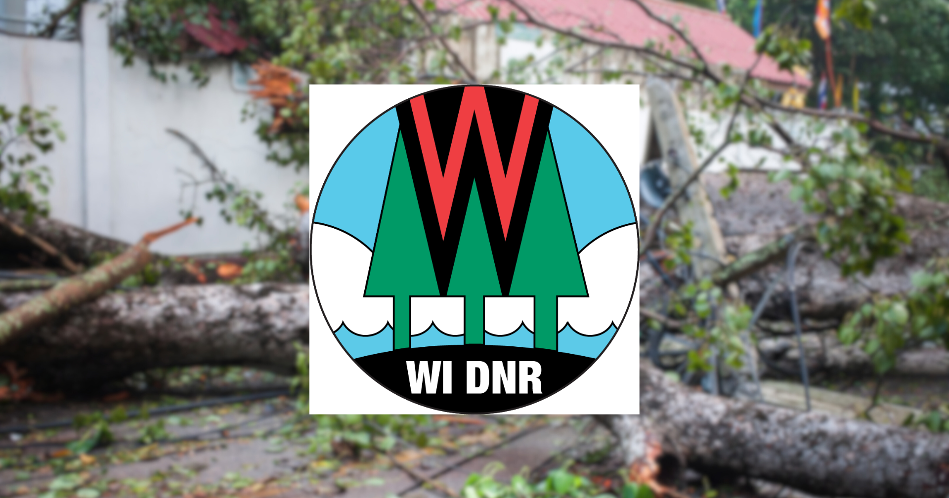Damage reported at state park properties across Wisconsin - Vimarsana News