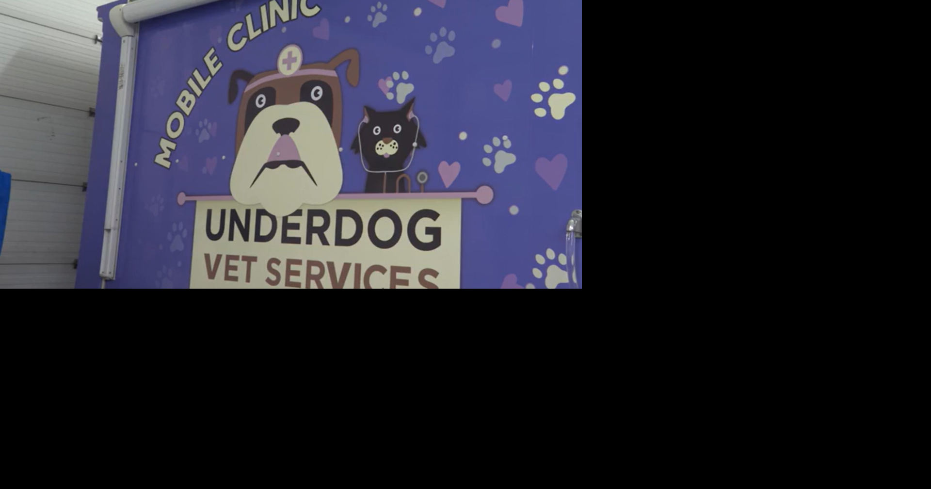 Nonprofit provides veterinary care for pets of the homeless in winter