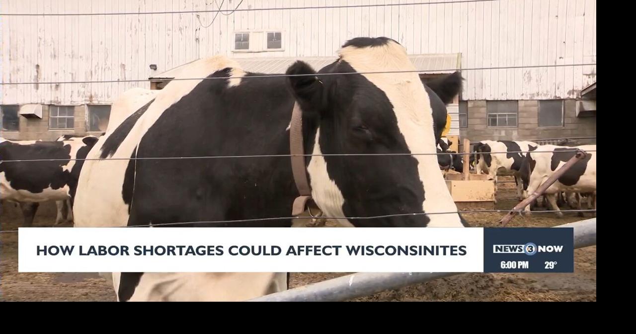 How labor shortages could affect Wisconsinites