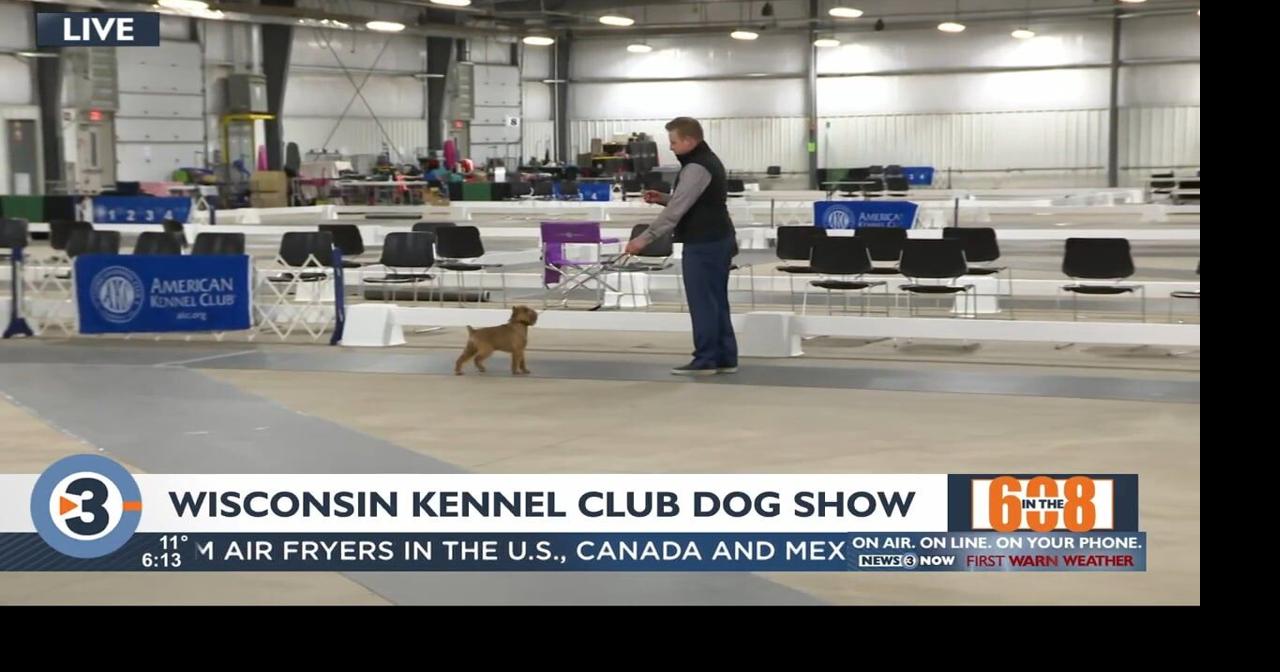 In the 608 Wisconsin Kennel Club Dog Show returns to Alliant Energy