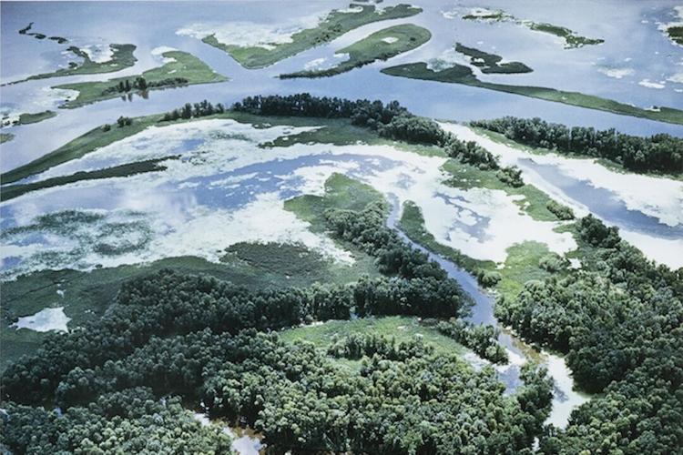 William A. Garnett’s “Mississippi River near Prairie du Chien, Wisconsin”