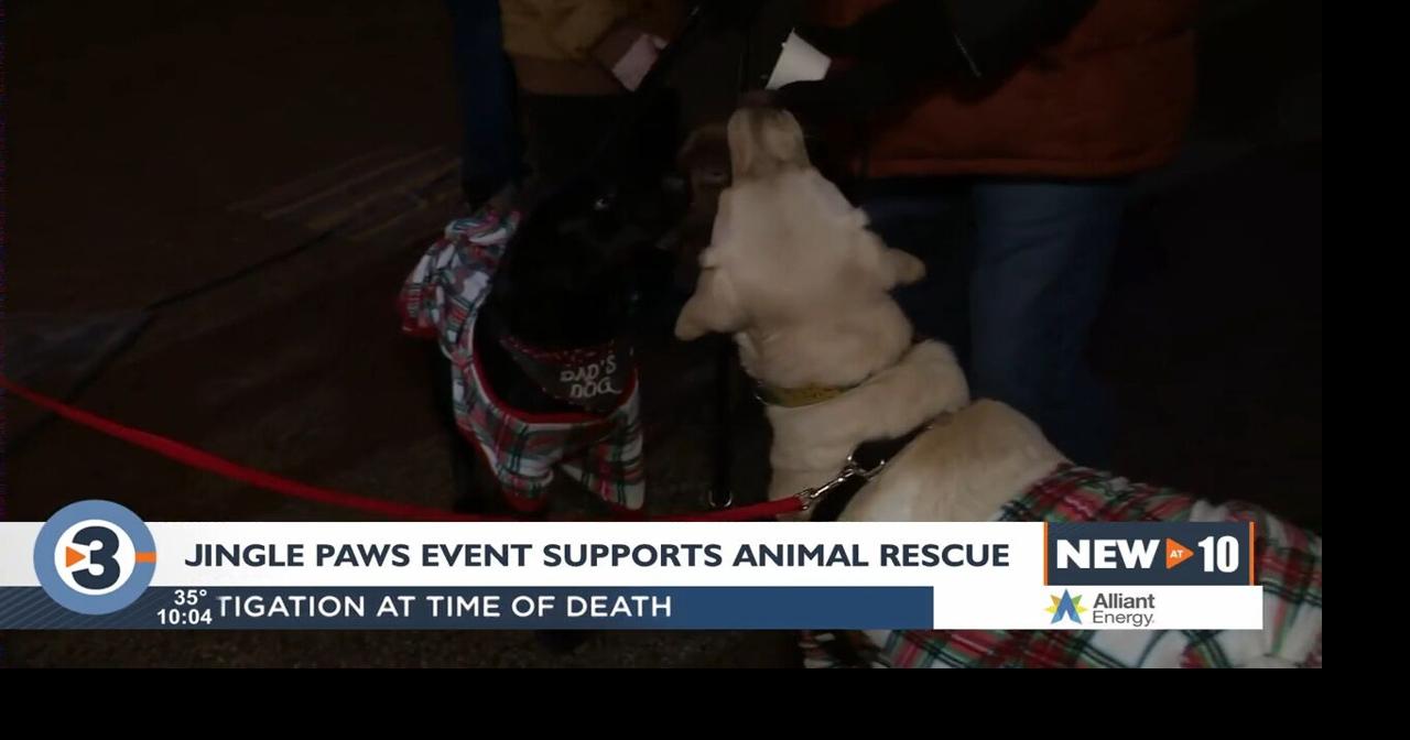 Jingle Paws helps support Madison dog and cat rescue | Local News ...