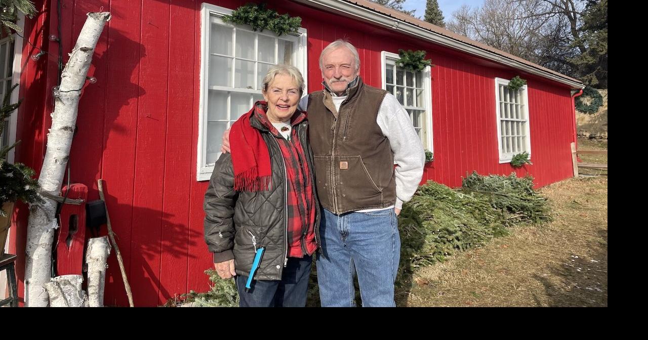 Summers Christmas Tree Farm fosters meaningful holiday experiences