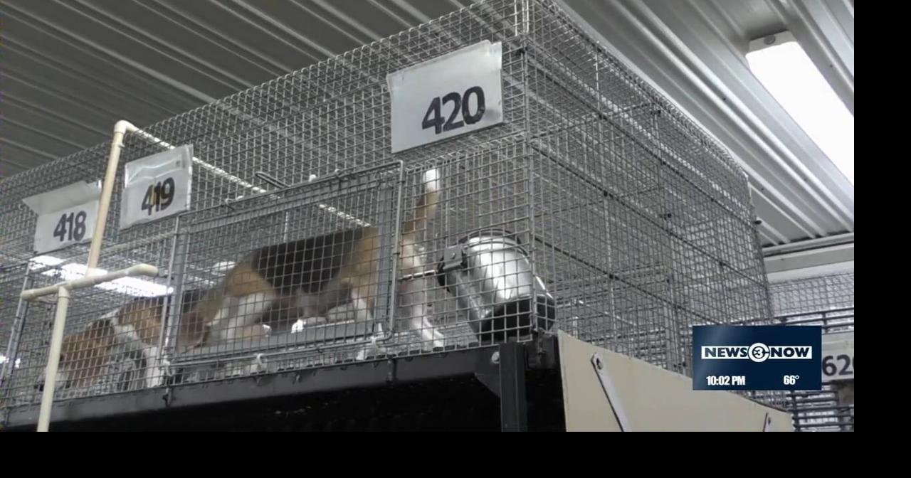 Ridglan Farms activist released from Dane Co. jail