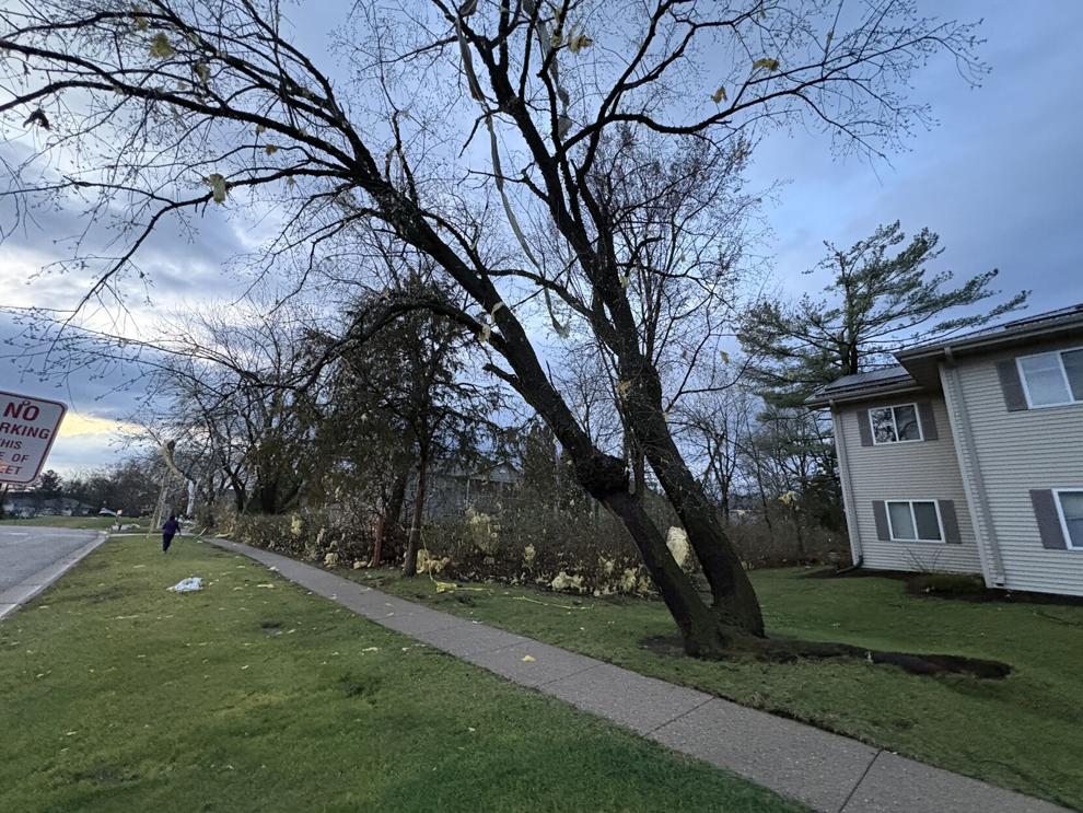 Overnight storms cause widespread damage, power outages across south ...