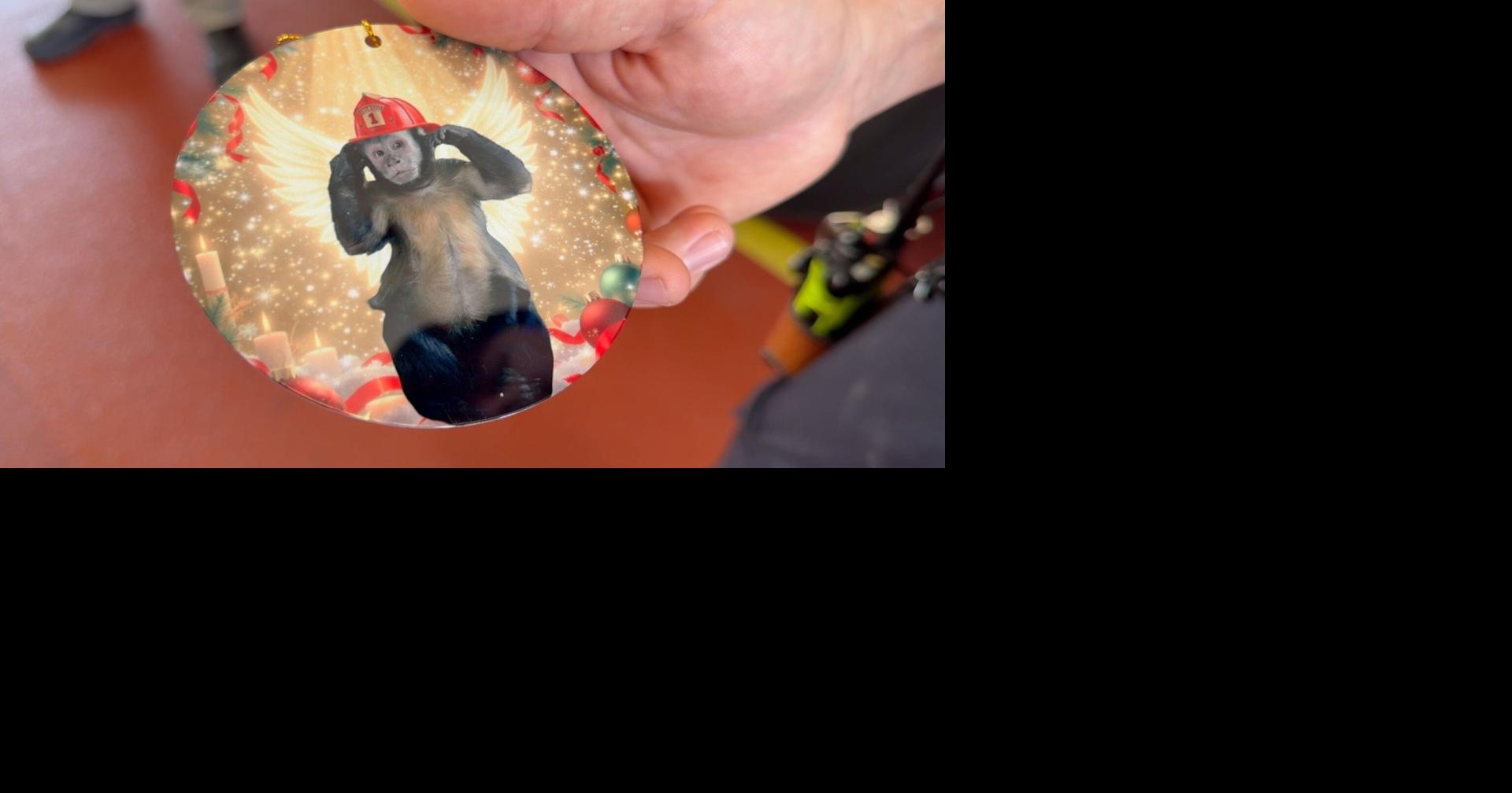 Florida firefighters praised for efforts to save pet monkey