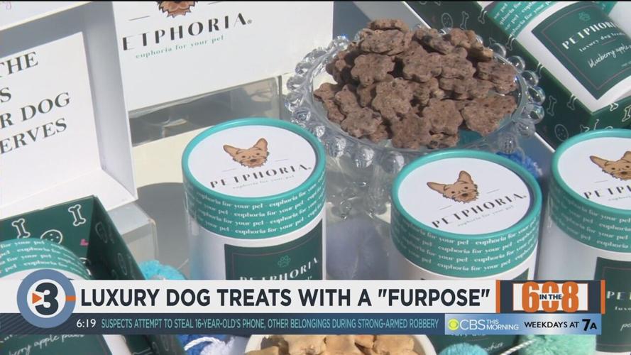In the 608: Local woman creates business that focuses on spoiling our pets