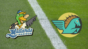 Mallards soar while Night Mares suffer another setback