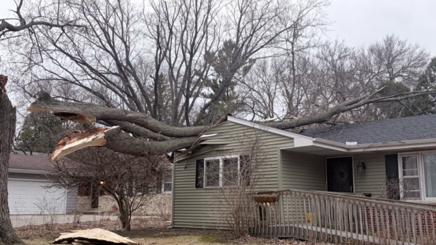 Tree falls on house during windstorm in Madison | News | channel3000.com