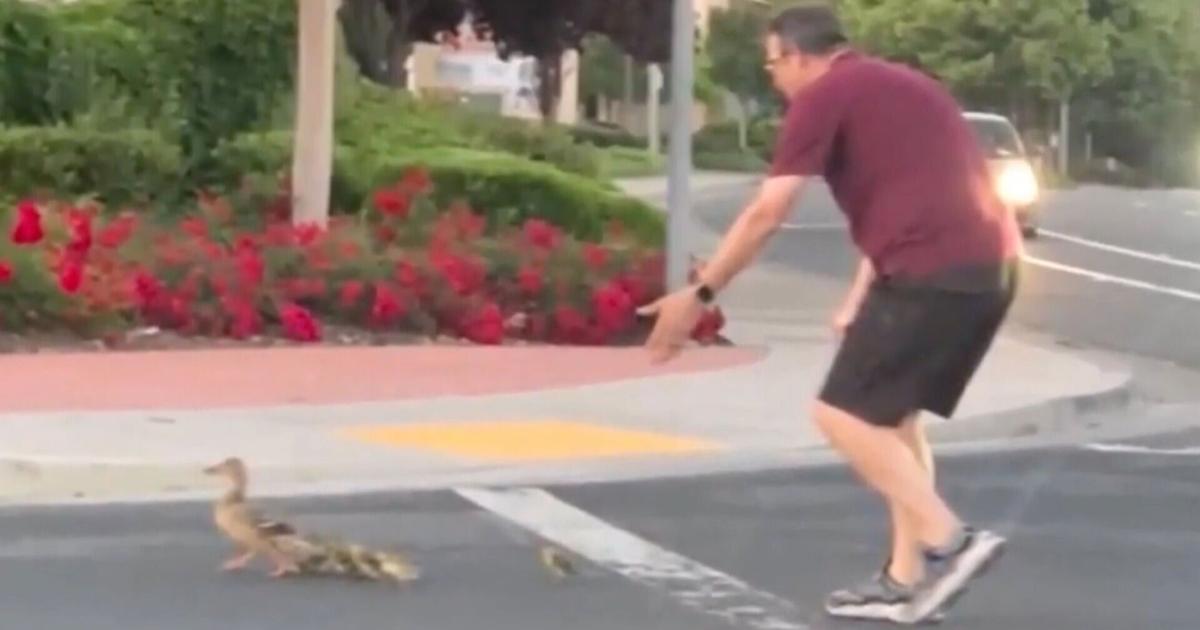 A California man stopped to help ducklings cross a busy street. His kind act turned tragic.