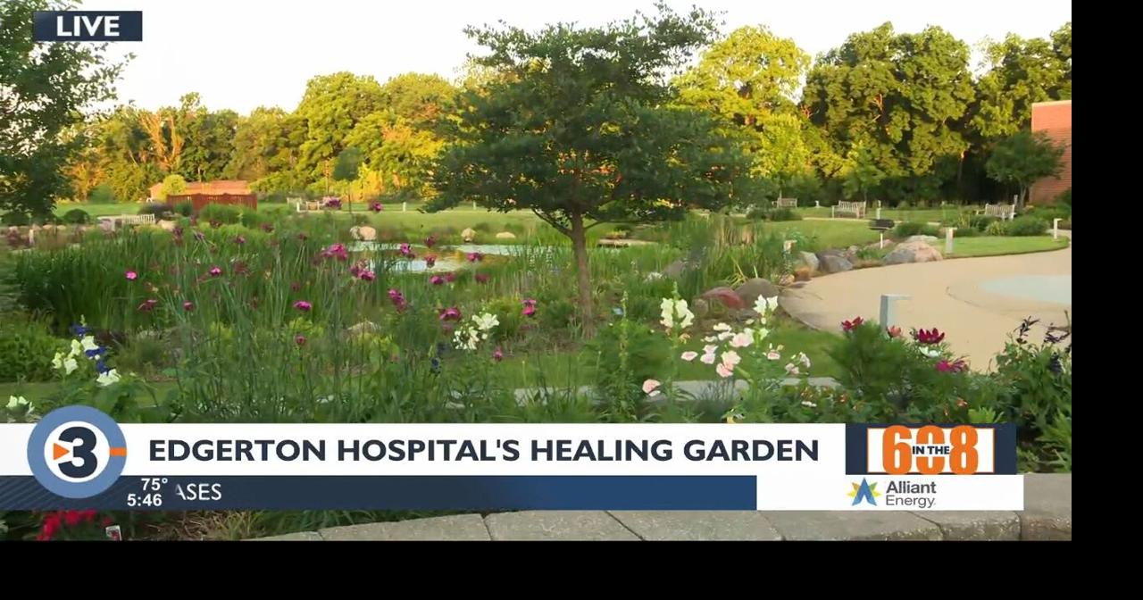 In the 608 Edgerton Hospital’s Healing Garden Features