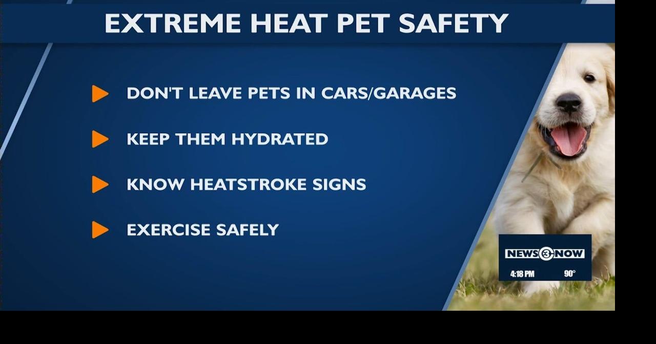 Protecting pets from hot pavement, heatstroke