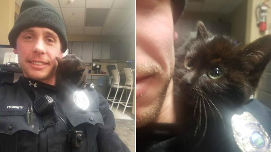 PHOTOS Platteville police officer adopts kitten he rescued from