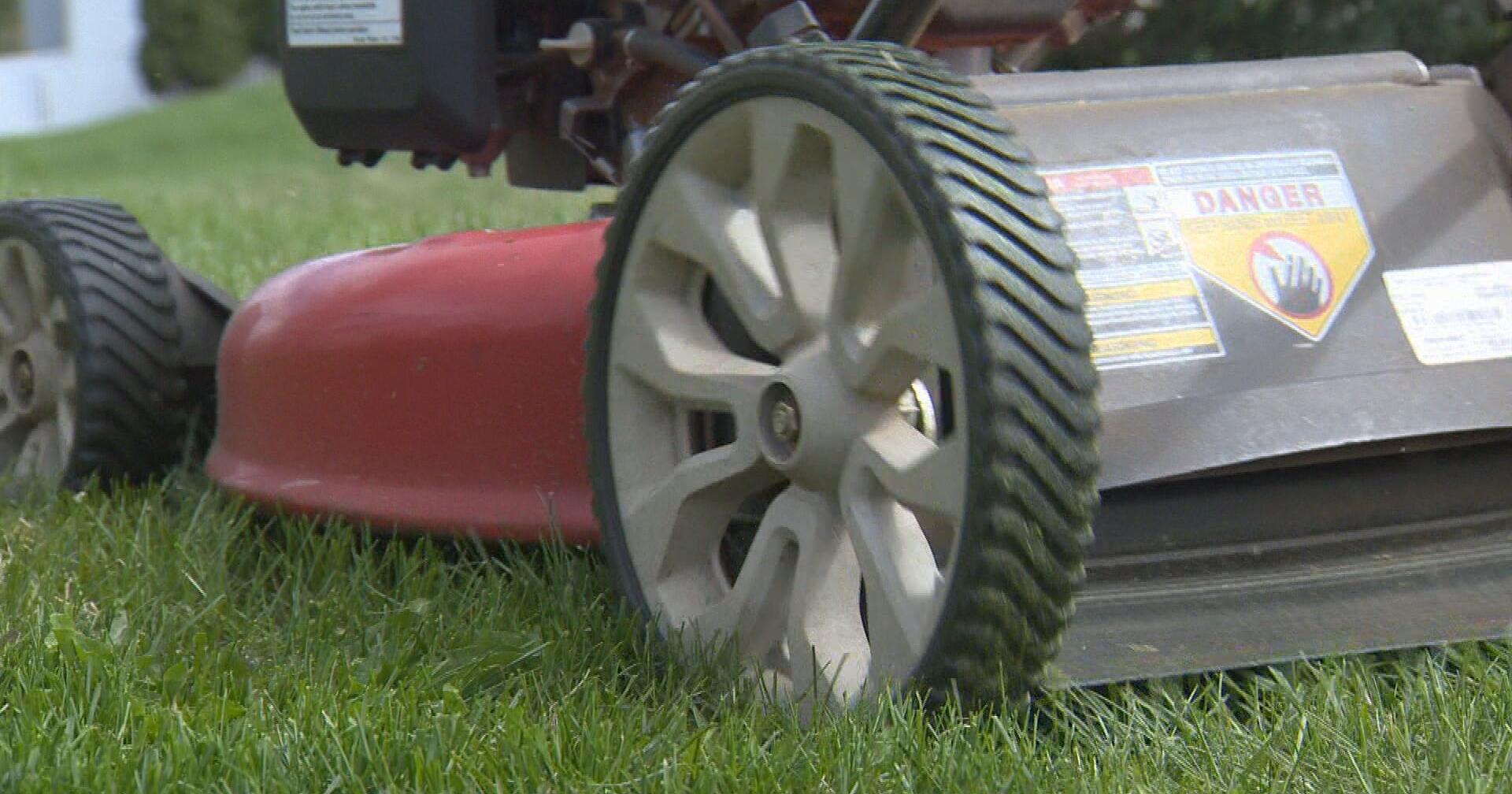 City of Madison asking homeowners to limit mowing as part of Low Mow May - Vimarsana News