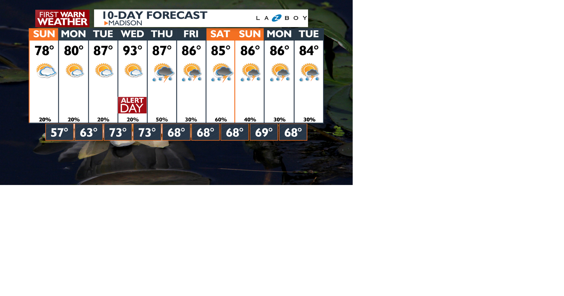 10-Day-AM Wizard PoP.png | | channel3000.com
