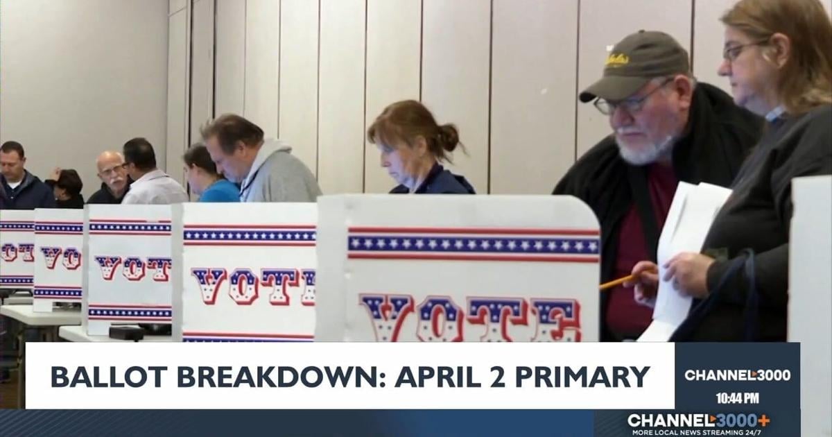 Ballot Breakdown: What's on your ballot for Wisconsin's April 2 primary ...