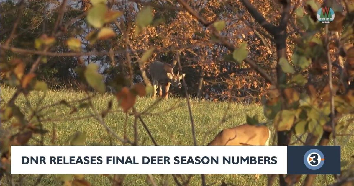Dnr Number Example DNR releases final deer season numbers | Video | channel3000.com