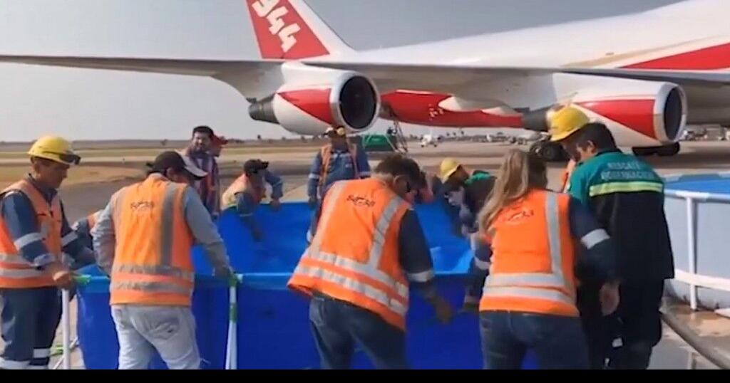 US firefighting supertanker plane helping fight Amazon fires National