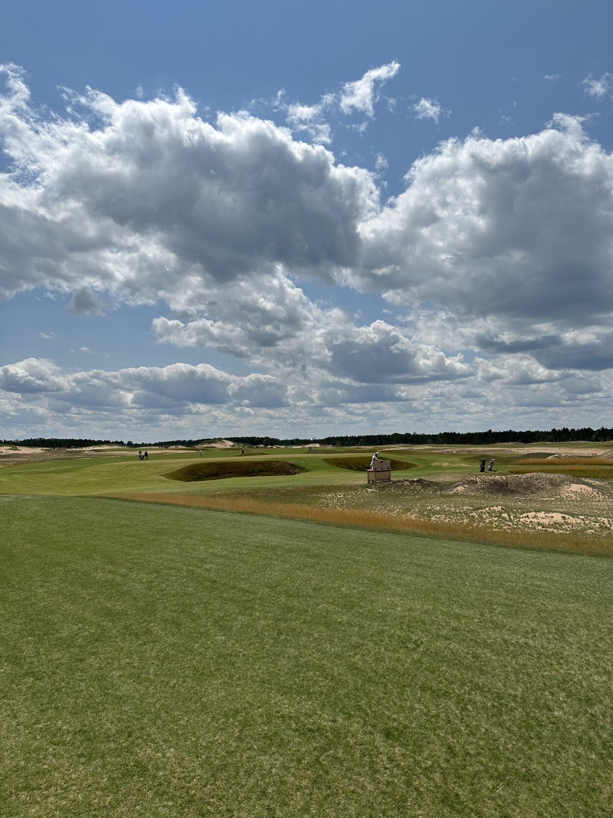 Wisconsins newest golf treasure,