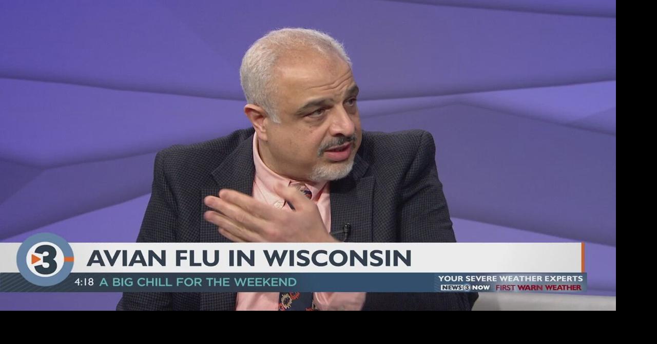 Avian flu threatens Wisconsin poultry industry | Local News ...