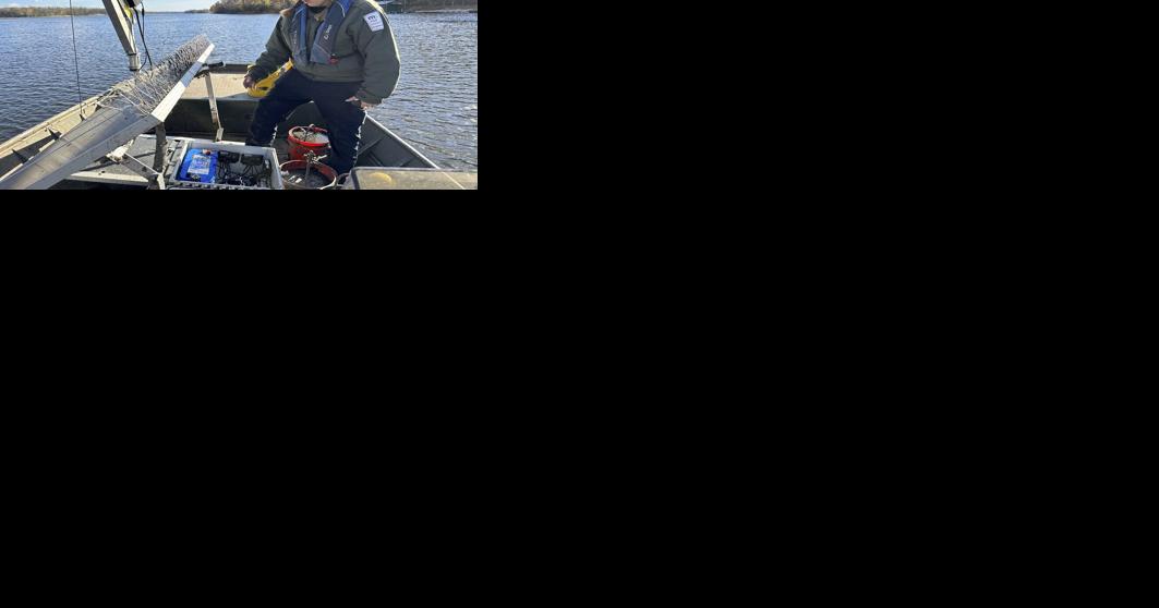 'Traitor fish' deployed in fight against invasive carp | News - Vimarsana News