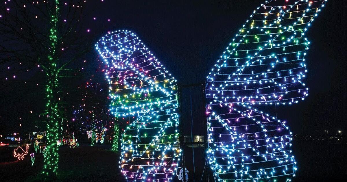 In the 608: Dane Co. Regional Airport celebrates 5 years of "Flight of Lights" - Vimarsana News