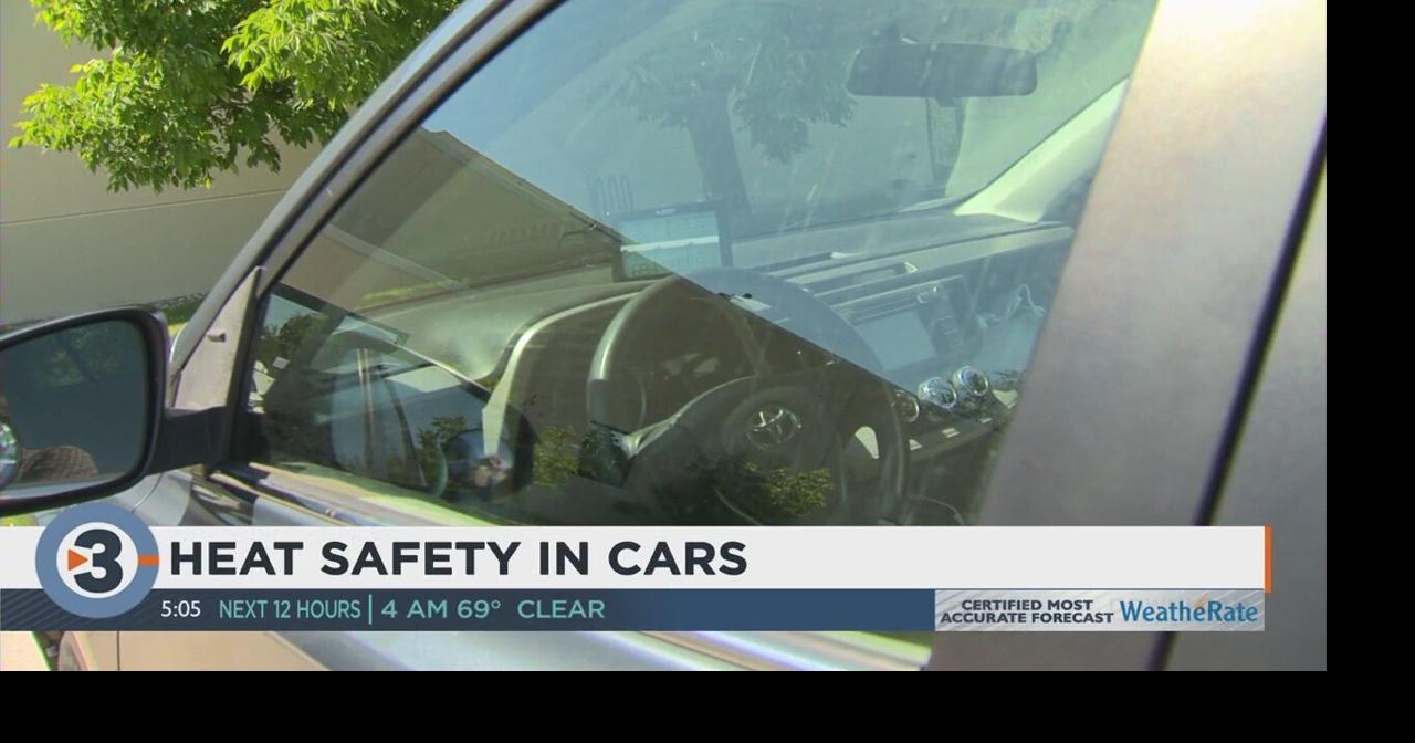 Health officials warn of dangers of leaving children in vehicles as ...