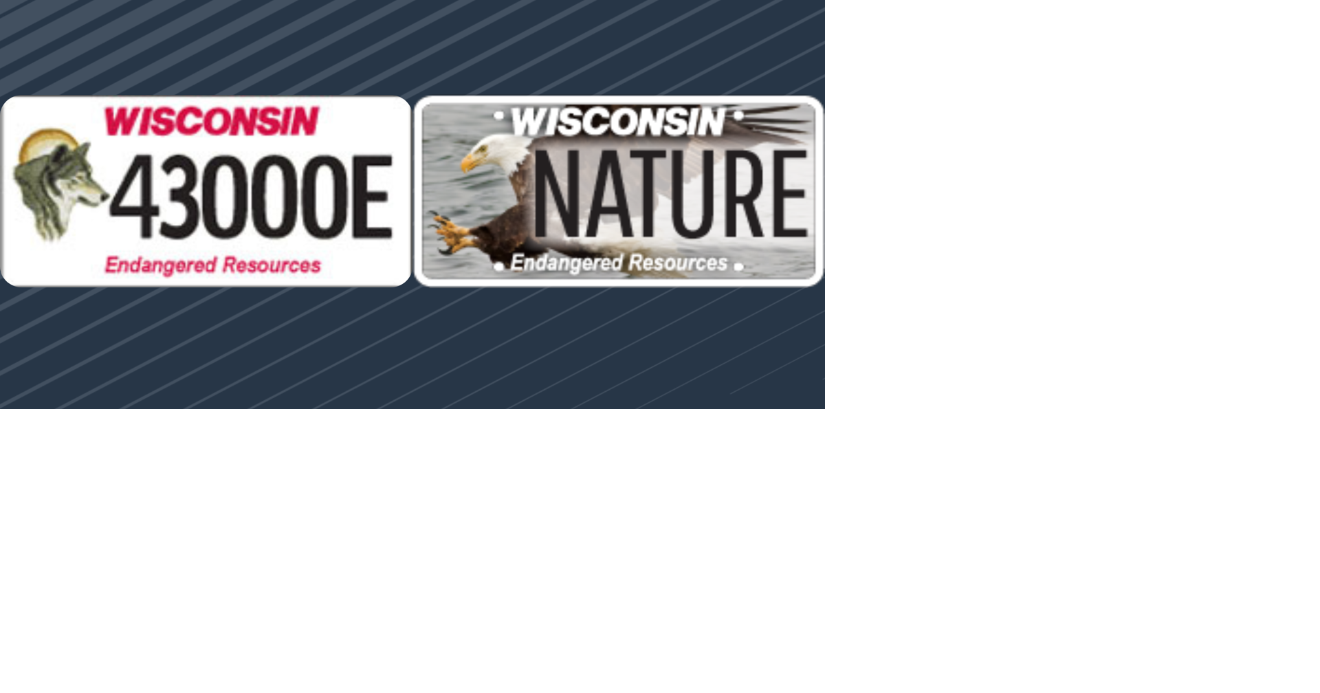DNR to offer partial refunds on specific license plates News