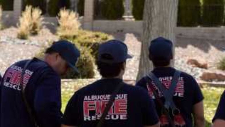 Crews respond to three bears in tree at golf course | News ...