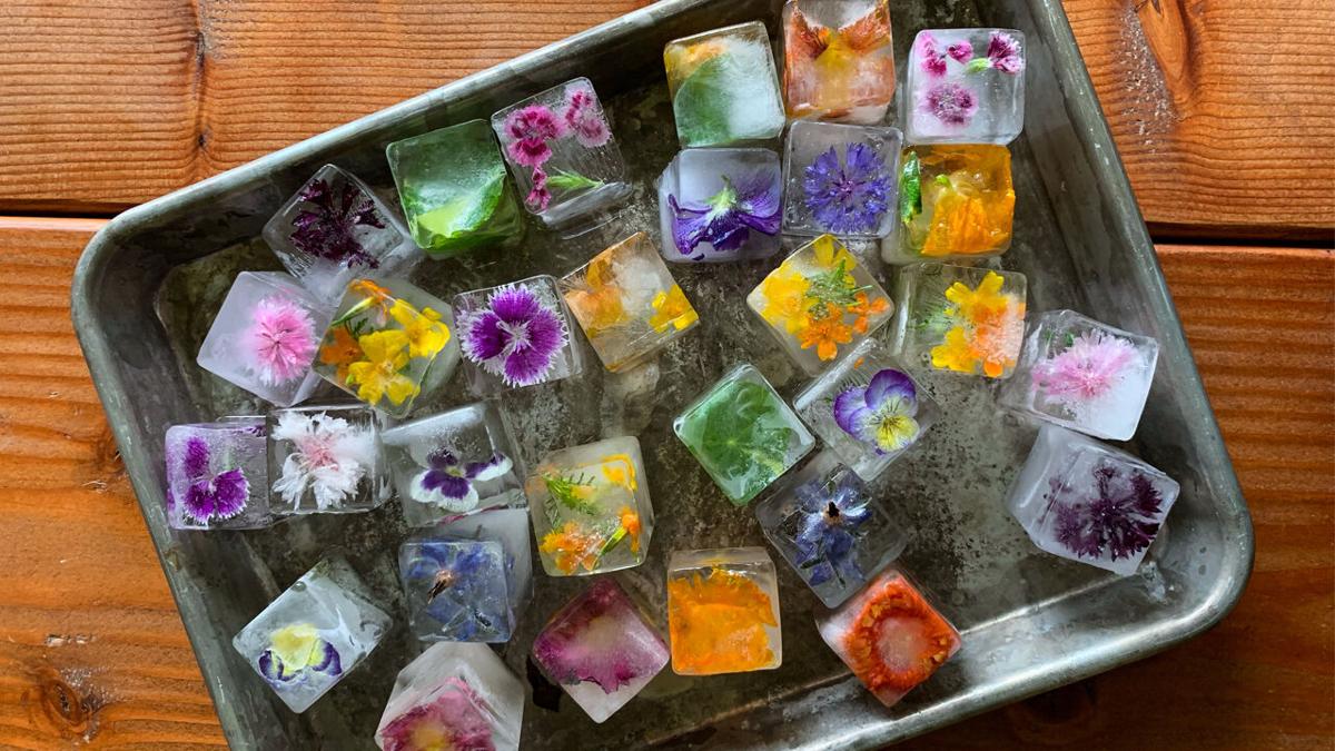 Making Square Ice Cubes - edible Hawaiian Islands Magazine, Recipe