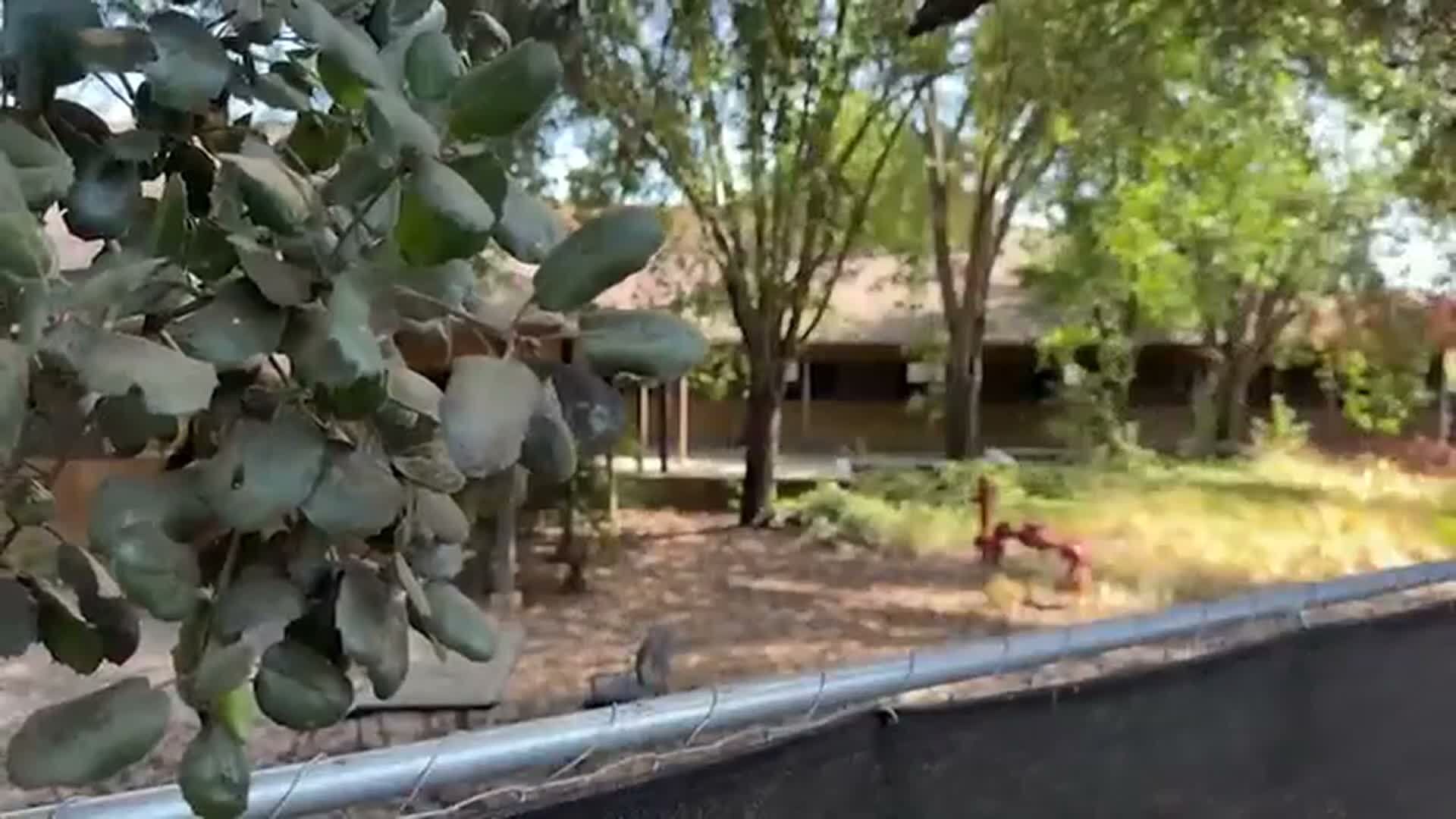 Judge orders pause on ICE detention facility construction in Gilroy due ...