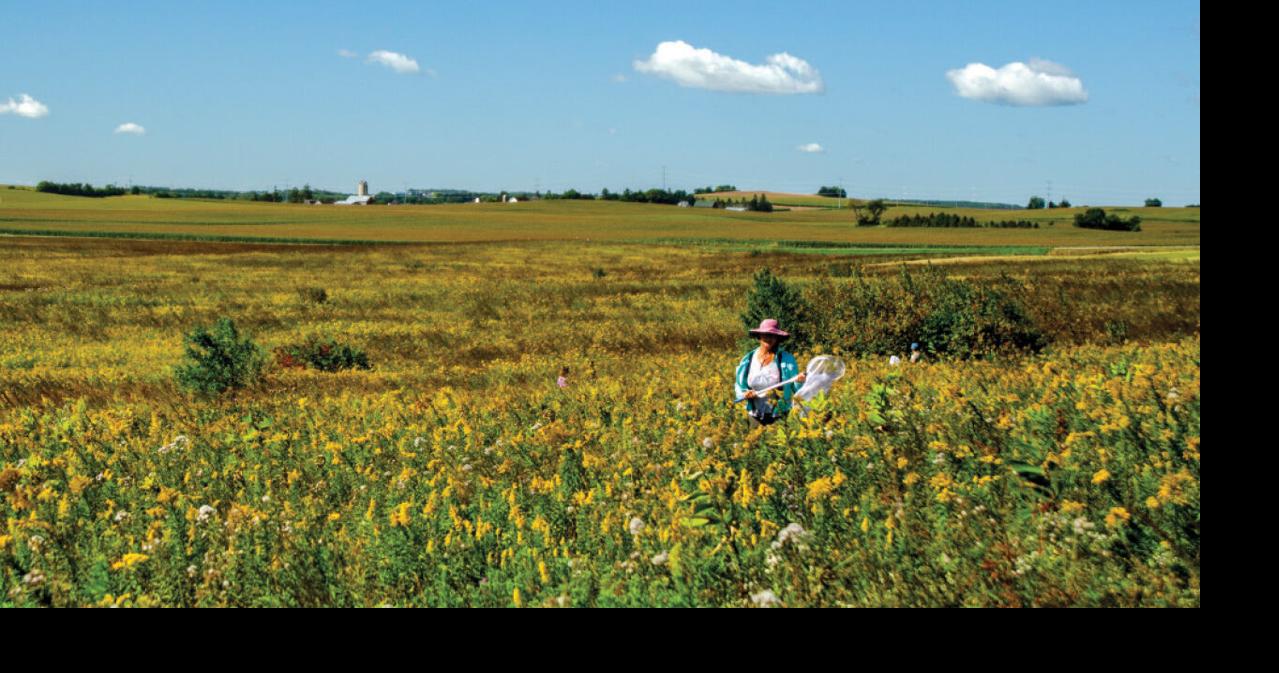 Embracing fall — both on the trails and in your own yard | MADISON ...