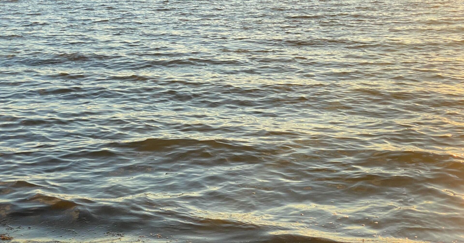 19-year-old from Middleton drowns in river in western Wisconsin - Vimarsana News