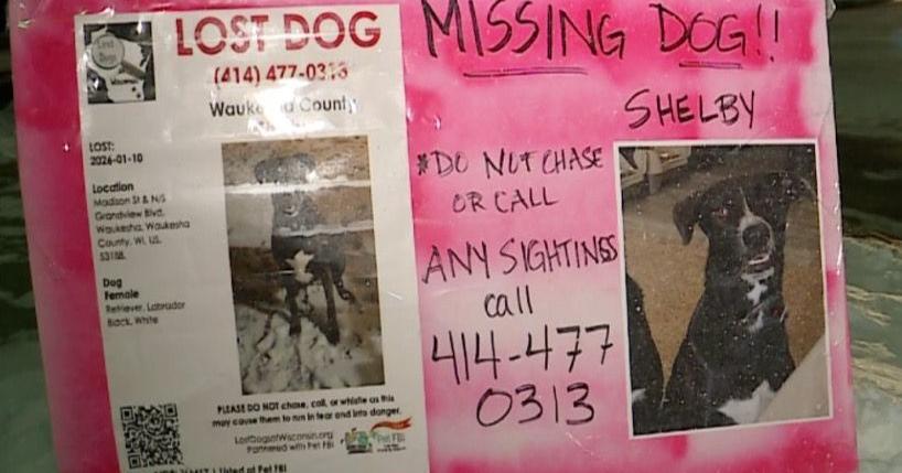 Waukesha family searches for beloved missing dog amid dangerously cold temperatures