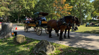 Friends of Carver-Roehl Park Fall Festival