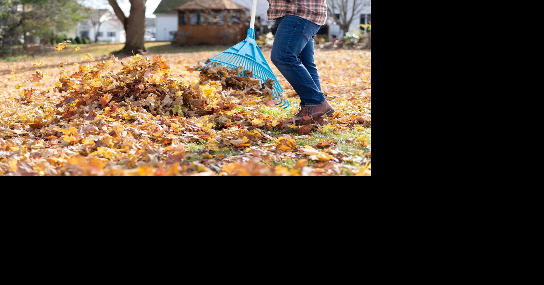 In the 608: Clean Lakes Alliance urges residents to keep fall leaves out of streets, storm drains