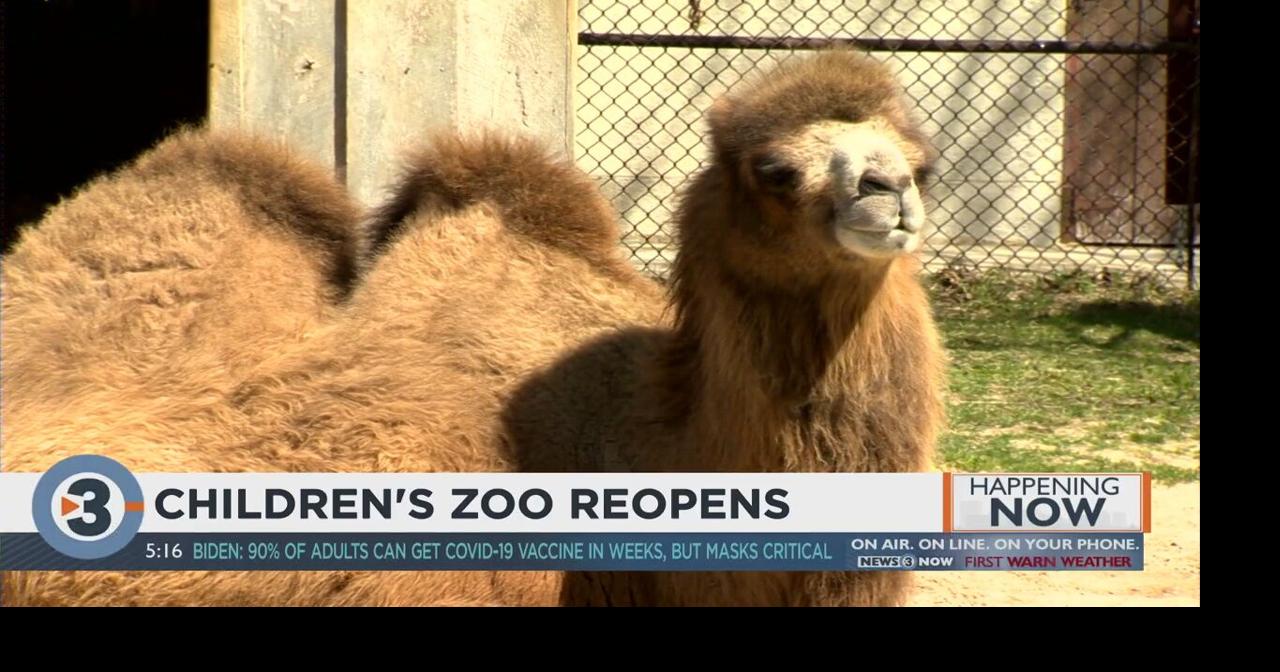 Henry Vilas Children’s Zoo reopens for first time in more than a year ...