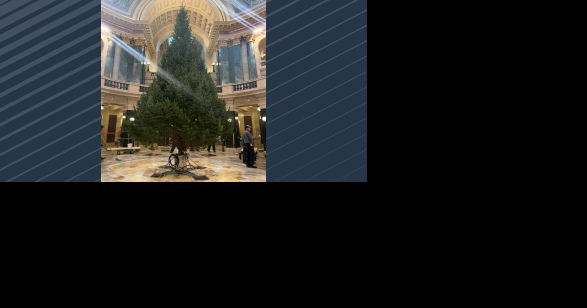 Wisconsin Capitol Rotunda Christmas Tree Installed for 2025