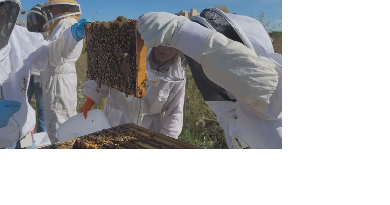 Colorado State University launches first honeybee veterinary science course