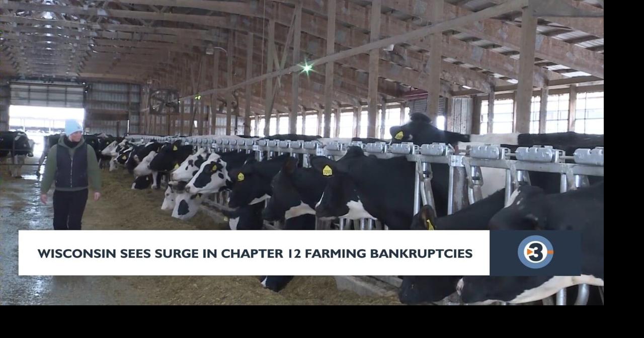 Wisconsin farm bankruptcies surge as financial pressures mount