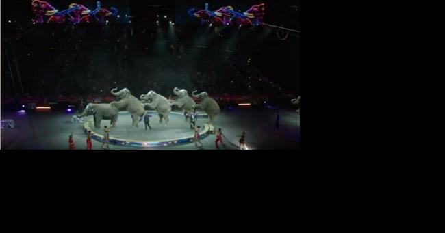 Circus World's retiring elephants to be grand marshals in Big Top Parade - Vimarsana News