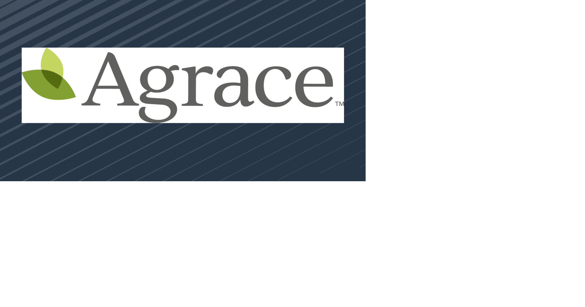 Agrace Thrift Stores' annual Holiday Pop-up Shop returns Oct. 30 | News ...