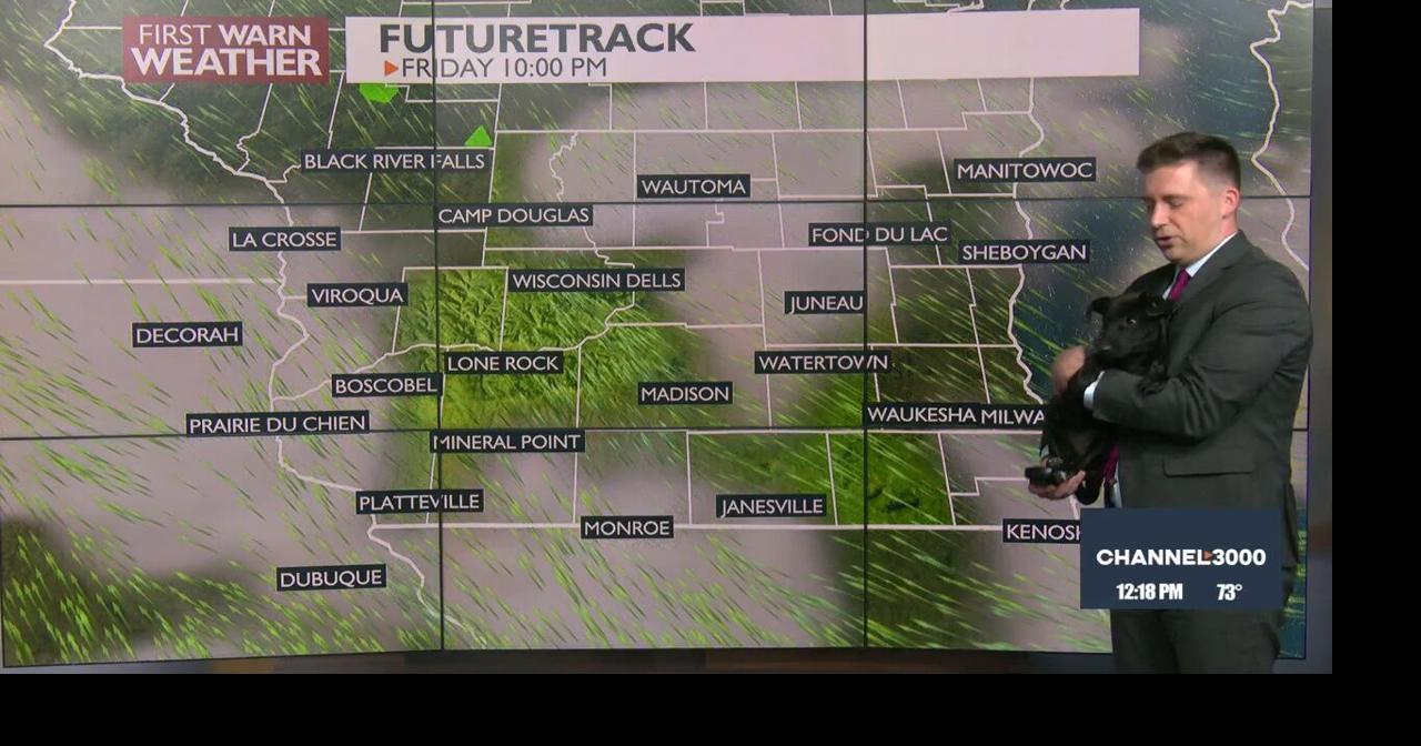 It's raining puppies! | Video | channel3000.com