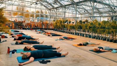 yoga in greenhouse (1)