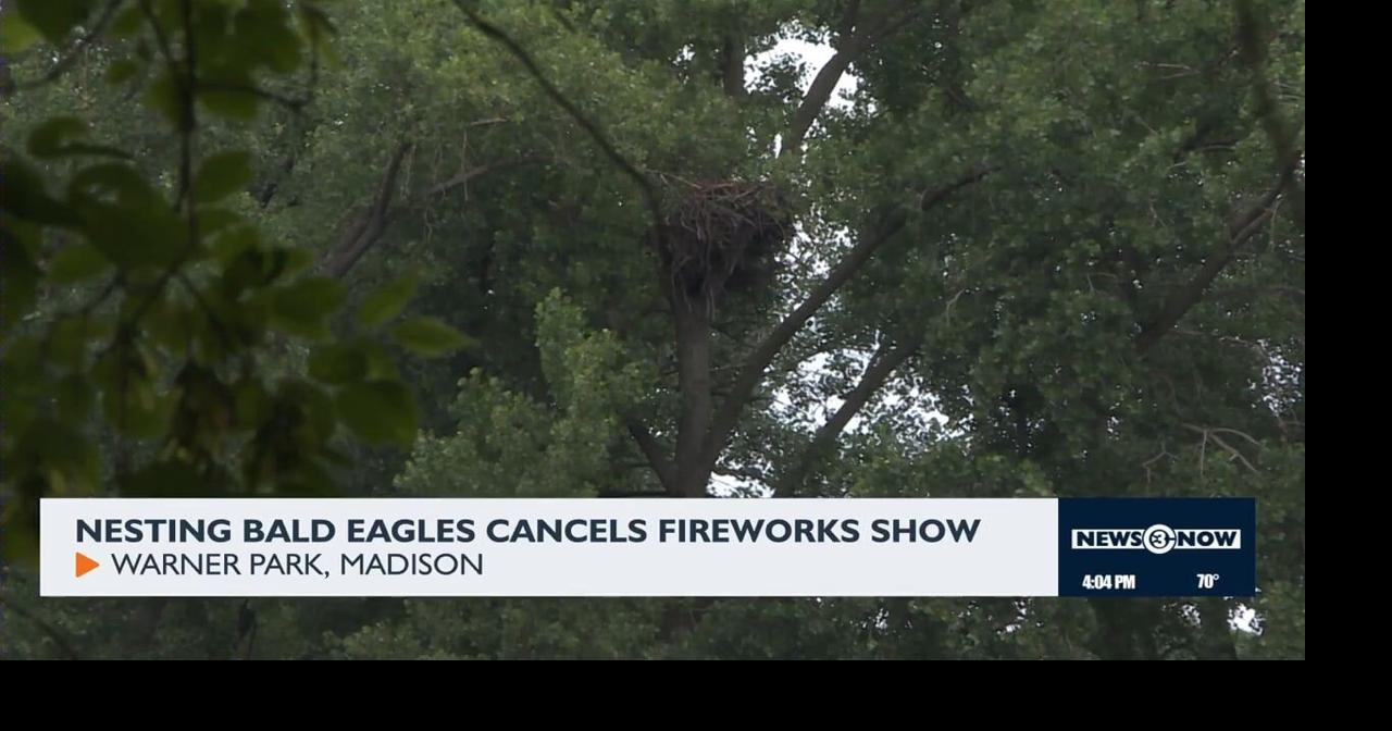 Nesting bald eagles cancels fireworks show