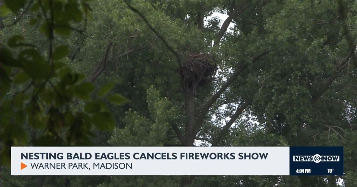 Nesting bald eagles cancels fireworks show